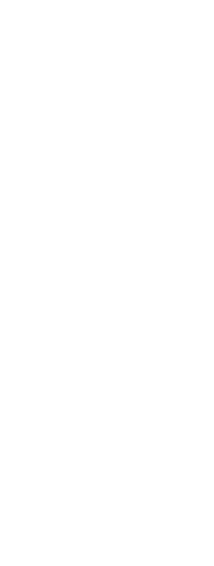 Quelle: Vorarlbergatlas, Luftbild 2015.  Quelle: StAD, Katasterplan.  Quelle: StAD, Negrelliplan.